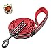 Chai's Choice Padded Outdoor Leash Medium (Red) | Comfortable & Stylish Soft Padded Handle | Quick Release Metal Snap Hook | 3M Reflective Stripes