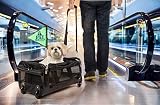 Sherpa on Wheels Pet Carrier, Black