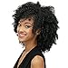 HAIRCUBE Afro Curly Wigs for Black Women Short Kinky Jet Black Heat Resistance Fiber Wigs for Women