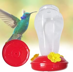 Garden Collection Hanging Hummingbird Feeder, 6¾ Inches