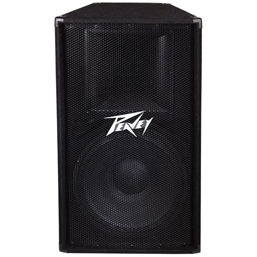 Peavey pv115 2-way 15 inch speaker cabinet
