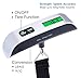 ROSIMO Digital Hanging Luggage Scale,Rubber Paint,Temperature Sensor,50kg,Silver