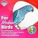 Super Bird SB1095 Seagrass Wafers Bird Toy, Medium Bird Size, 9″ x 2.5″ x 1.5″thumb 1