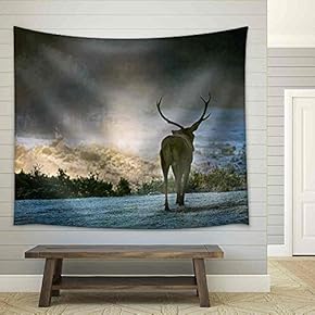 Majestic Bull Walking on The Meadow at Sunrise - Fabric Wall Tapestry Home Decor - 51x60 inches