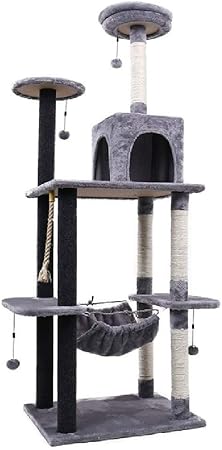 kitten climbing frame