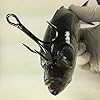 Live-Bait-Zip-Bridle-Needle-Hook-Harness-and-Zip-Tie-in-One Live-Bait-Zip-Bridle-Needle-Hook-Harness-and-Zip-Tie-in-One