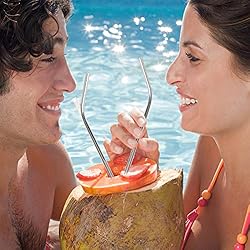 YeeBeny Coconut Opener Tool Stainless Steel Coconut