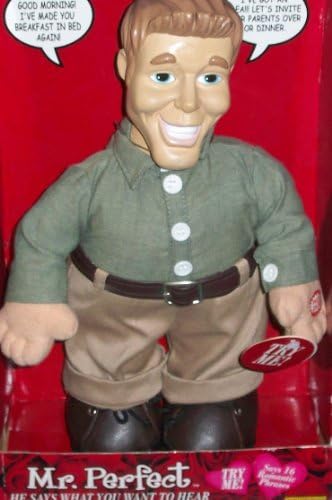 mr perfect doll