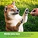 VetIQ Minties Dog Dental Bone Treats, Dental Chews for Dogs, (Perfect for Tiny / Small Dogs under 40 lbs), 80 Treats (box)