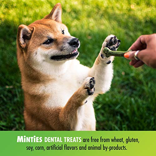 Vetiq Minties Dog Dental Bone Treats, Dental Treats for Dogs, Tiny / Small - Thumbnail 4