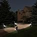 Sunba Youth Solar Lights, Outdoor Solar Spotlights, 2-in-1 Waterproof Landscape Light Adjustable Wall Light, 4 LED Security Lighting, Auto On/Off Yard Garden Driveway Pathway Lawn Pool