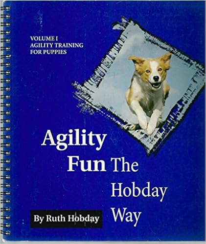 agility fun