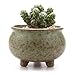 T4U Small Green Ceramic Succulent Planter Pots with Drainage Hole Set of 6, Spring Glaze Porcelain Handicraft Plant Holder as Gift for Mom Sister Daughter for Home Office Garden Desktop Decoration