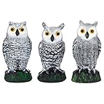 Scarecrow Fake Owl Decoys - Pest Repellent Garden Protectors - (small) (set of 3)