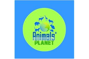 animals sounds