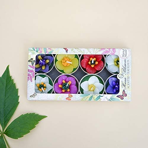 Hana Blossom Assortiment de 8 Bougies Chauffe-Plat parfumées Faites à la Main
