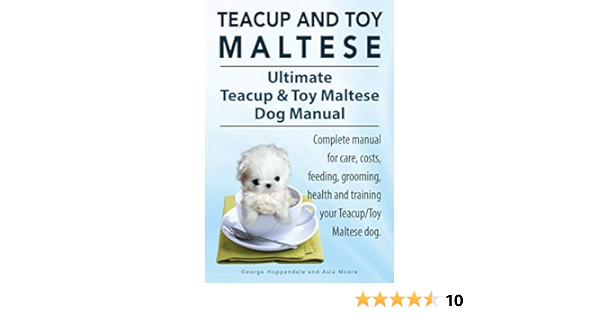 Teacup Maltese And Toy Maltese Dogs Ultimate Teacup Toy Maltese Book Complete Manual For Care Costs Feeding Grooming Health And Training Your Teacup Toy Maltese Dog Hoppendale George Moore Asia 9781910410875 Amazon Com