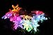 TLTSHOPS 20 LED Colorful Starfish String Lights (Multi-Color), Great for Festival Parties,Decorations,Wedding etc LED016
