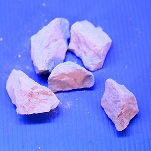 White Mineral Stone Montmorillonite Rock 100g Crystal Red Bee Shrimp
