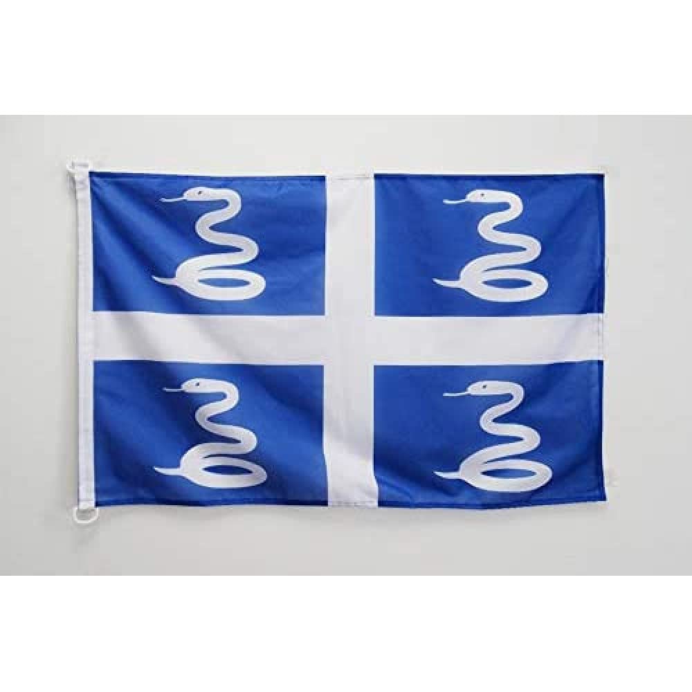 AZ FLAG - Martinique Nautical Flag - 18'' x 12'' - For Outdoor and Boat - French region of Martinique Banner Knitted Polyester with Two Plastic Rings - Vivid Colors - 12x18 in - 45x30 Cm