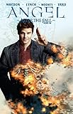 Angel: After the Fall Vol. 4 by 