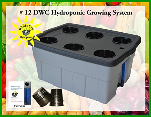Dwc hydroponic grow system #12 6-site h2otogro