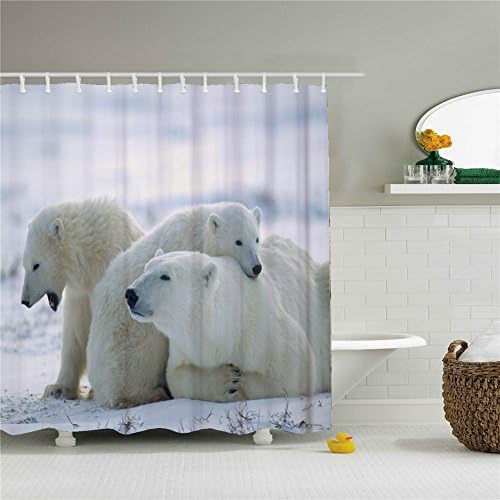 Creative Cute Koala Bear and Kangaroo Polar Bear Bath Paris Day Peva Shower Curtain 66x72