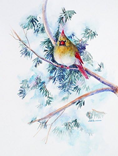 Northern Cardinal Watercolor Painting Winter Snow Scene Unframed 11x14 Janet Zeh