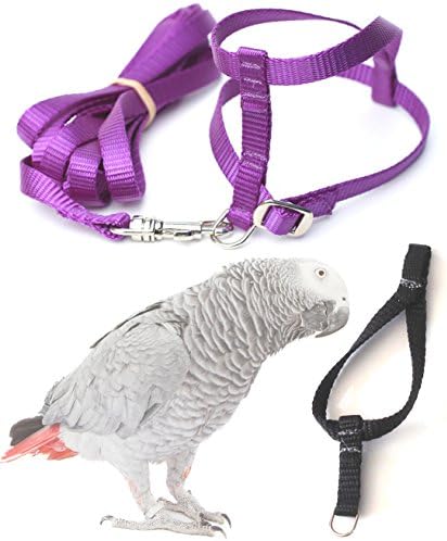 Fred Bird Harness &amp; Leash with additional larger TRAINING Head Loop