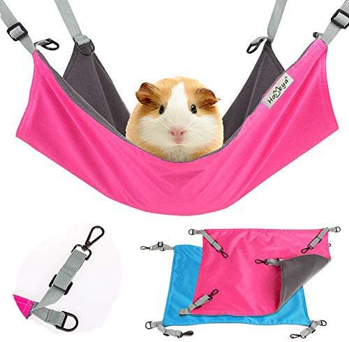 guinea pig hammock pets at home