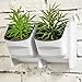 MyGift Set of 2 Vertical Wall Planter for Indoor Outdoor Herb Vegetable Flower Garden Plastic Pot, Whitethumb 2