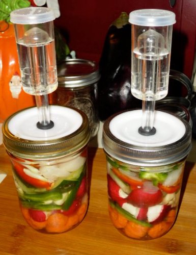 Homesteader's Supply Pickle-Pro vegetable Fermenting Lid