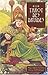 coffret le tarot des druides by 