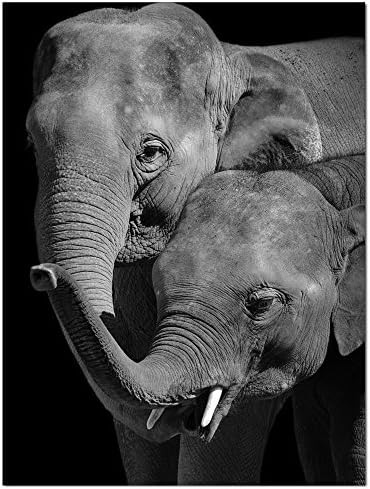 LevvArts - Elephant Canvas Print,Portrait of Beautiful Elephant in The Dark Wall Art Stretched Wood Frame,Black and White Animal Canvas Pictures for Living Room Decoration,Ready to Hang