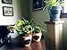 80 Chalkboard Labels for Mason Jars, Organize Kitchen & Pantry, DIY Paper Crafts - Reusable Adhesive Stickers - 7 Fancy Designs - 3.2 x 2 inch