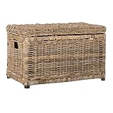 happimess HPM9002B Elijah 30" Wicker Storage