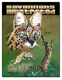 Savannahs Illustrated - Savannah Cats - Simply Savannahs