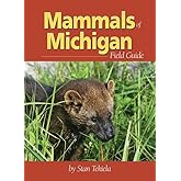 Mammals of Michigan Field Guide (Mammal Identification Guides)
