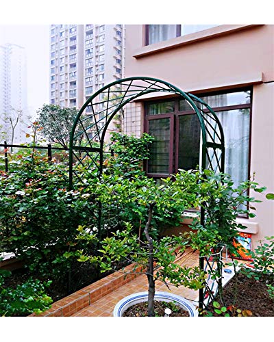 F-XW Rosenbogen Verzinkt Torbogen Rankhilfe Spalier Rosenhilfe Rankgitter, für Klettern von Weinreben, Metall, W150×40…