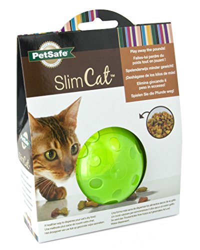 PetSafe SlimCat Meal Dispensing Cat Toy, Green