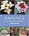 Daphnes: A Practical Guide for Gardeners by Robin White