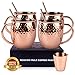 Moscow Mule Copper Mugs, Set of 4-100% Handcrafted, Food-Safe Copper Mugs 16 Ounce with Brass Handle and Stainless-Steel Lining, Highest Quality Cocktail Copper Strawsand Jigger