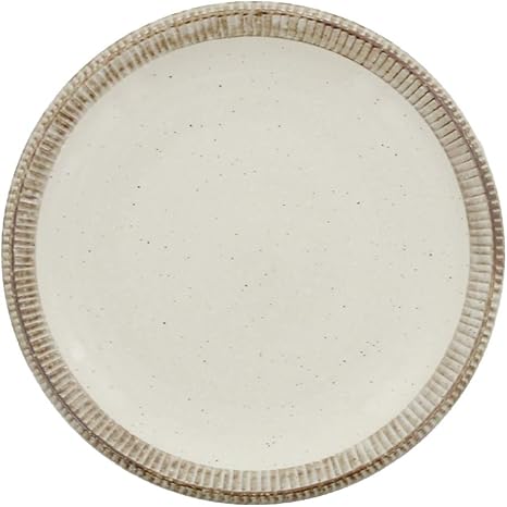 Amazon テーブルウェアイースト 渕錆粉引 ディナープレート 大皿 皿 パスタ皿 カレー パスタ皿 オンライン通販