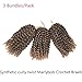 BeautyGrace Pack of 3 Marlybob Crochet Braids Hair Ombre Afro Kinky Curly Braiding Hair Extensions for Girl Women(8