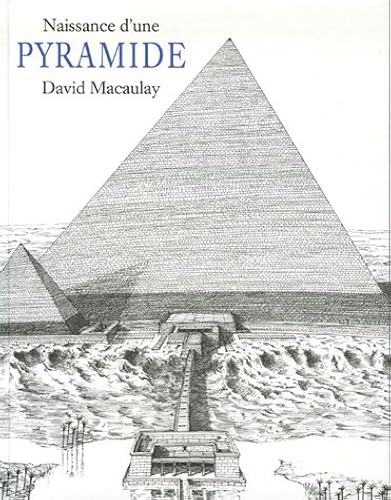 Download Naissance d'une pyramide PDF