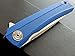 Eafegrow CH3002-G10 Folding Camping Knives 3.7 inch D2 Blade and G10 Handle Pocket Knives Outdoor Hunting Knife Tactical Folding Knives (blue)
