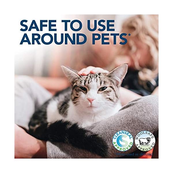 Simple Solution Extreme Cat Stain and Odour Remover | Enzymatic Cleaner with 3X Pro-Bacteria Cleaning Power - 500ml