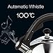 Homeinart Whistling Tea Kettle Stainless Tea Kettles Stovetop 2.6 QT