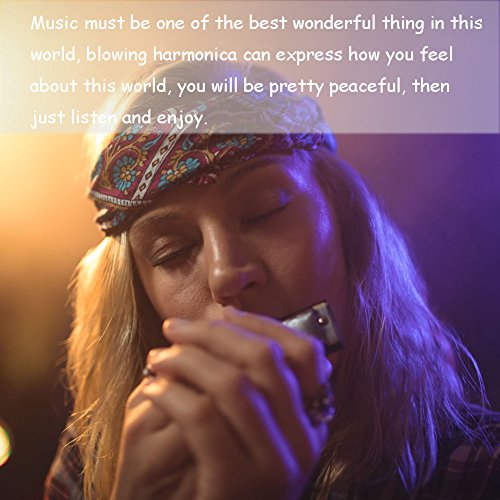 image for HIGO TOY 10 Hole 20 Tones Harmonica Key of C blues, folk and pop Best 