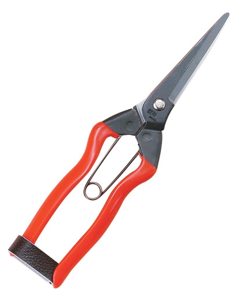 Fruit & Vegetable Harvesting Shears 20 cm/8 inch - Koshiji Made in Japan